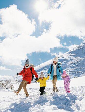 location vacances février ski zone c